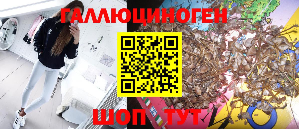 Галлюциногенные грибы Psilocybe  Галлюциногенные грибы ЛСД  Вход с VPN  Кимры 